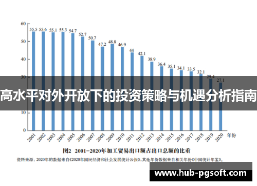 高水平对外开放下的投资策略与机遇分析指南